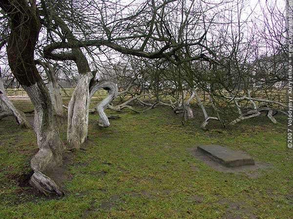 ���������, ������� �������, ������. ������ � ����� ���� �� �����, �� ��������� ���� �����