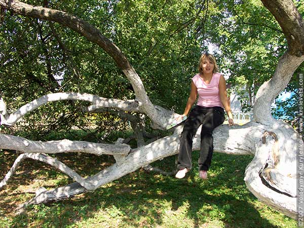 ���������, ������� �������, ������. ������ � ����� ���� �� �����, �� ��������� ���� �����