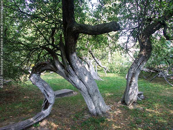 ���������, ������� �������, ������. ������ � ����� ���� �� �����, �� ��������� ���� �����