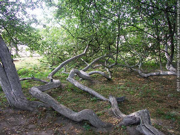 ���������, ������� �������, ������. ������ � ����� ���� �� �����, �� ��������� ���� �����