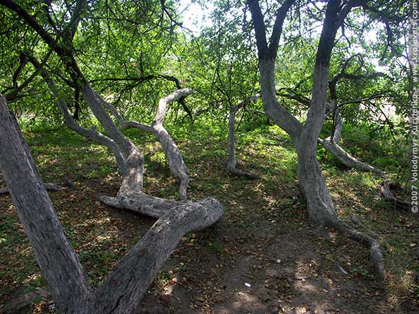 ���������, ������� �������, ������. ������ � ����� ���� �� �����, �� ��������� ���� �����