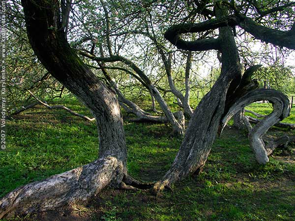 ���������, ������� �������, ������. ������ � ����� ���� �� �����, �� ��������� ���� �����