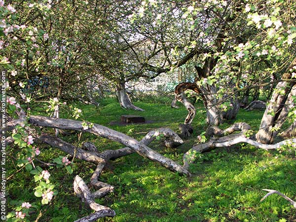 ���������, ������� �������, ������. ������ � ����� ���� �� �����, �� ��������� ���� �����