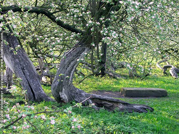 ���������, ������� �������, ������. ������ � ����� ���� �� �����, �� ��������� ���� �����