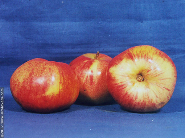 ���������, ������� �������, ������. ������ � ����� ���� �� �����, �� ��������� ���� �����