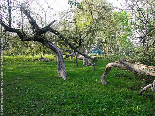 ���������, ������� �������, ������. ������ � ����� ���� �� �����, �� ��������� ���� �����