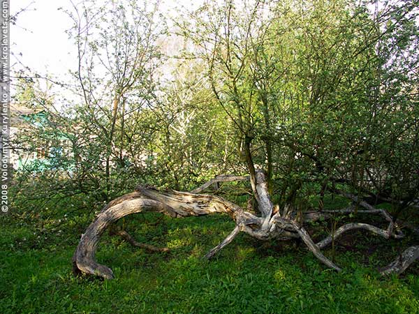 ���������, ������� �������, ������. ������ � ����� ���� �� �����, �� ��������� ���� �����