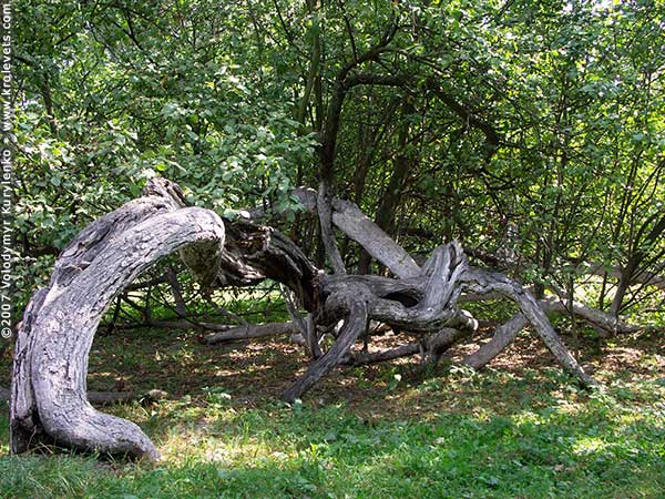 ���������, ������� �������, ������. ������ � ����� ���� �� �����, �� ��������� ���� �����