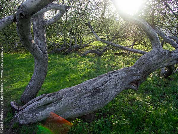 ���������, ������� �������, ������. ������ � ����� ���� �� �����, �� ��������� ���� �����