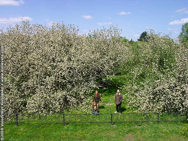 ���������, ������� �������, ������. ������ � ����� ���� �� �����, �� ��������� ���� �����