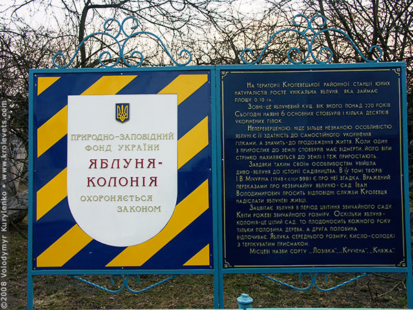 ���������, ������� �������, ������. ������ � ����� ���� �� �����, �� ��������� ���� �����